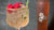 Boadicea® Gin Rosa - Festive Gin & Tonic