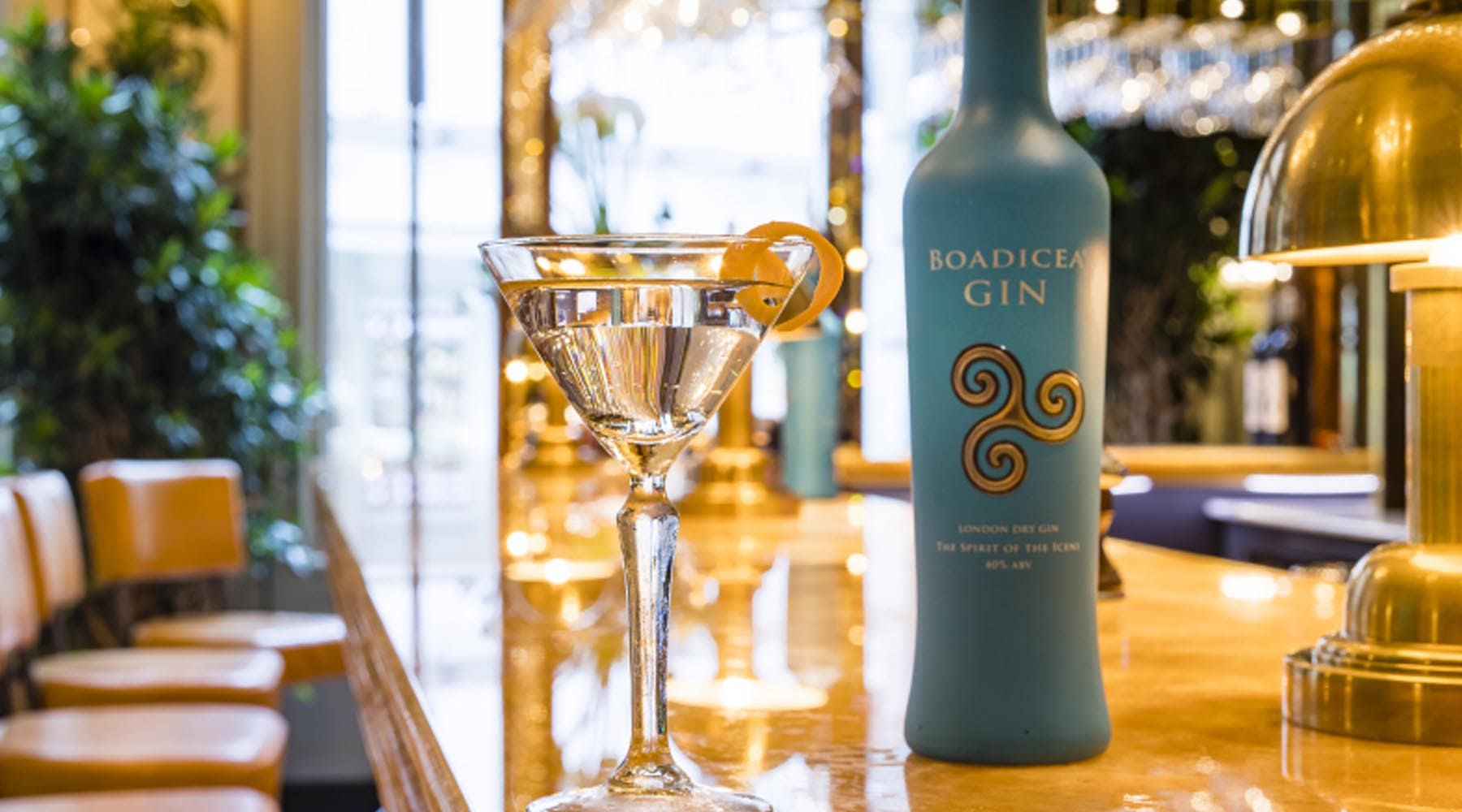 First Gin Tasting Dinner at The Ivy Norwich Brasserie With Boadicea Gin